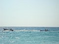 White-beach-Liban(1).JPG